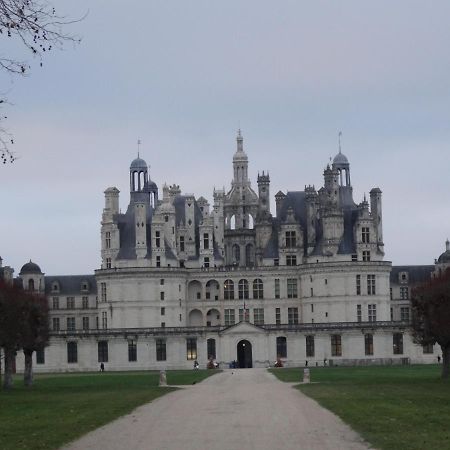 Gite Le Cerf Solognot Proche Chateau Chambord, Lamotte Beuvron Neung-sur-Beuvron Екстериор снимка