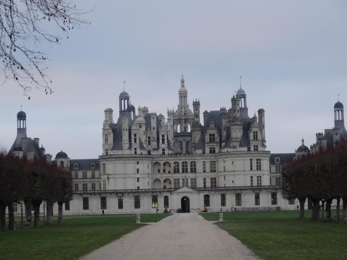 Gite Le Cerf Solognot Proche Chateau Chambord, Lamotte Beuvron Neung-sur-Beuvron Екстериор снимка