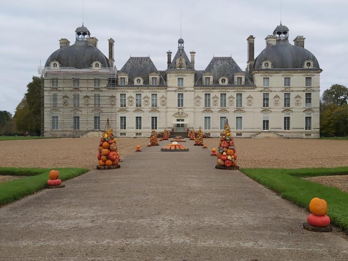 Gite Le Cerf Solognot Proche Chateau Chambord, Lamotte Beuvron Neung-sur-Beuvron Екстериор снимка